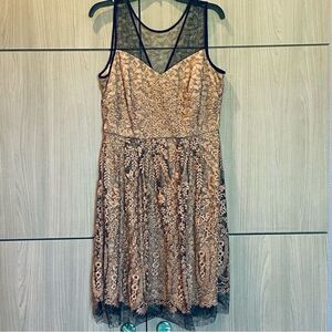Taylor Lace Overlay Fit & Flare Mini Dress Size 12
